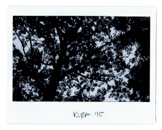 kira-1-a501e388a33428a1db2f99b92c2ccba0